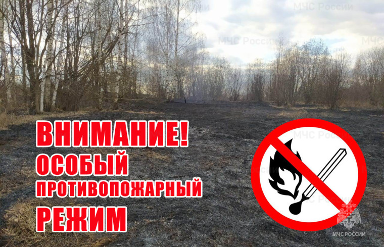 С 27 апреля 2024 года на территории Алтайского края введен особый противопожарный режим.. С 27 апреля 2024 года на территории Алтайского края введен особый противопожарный режим..