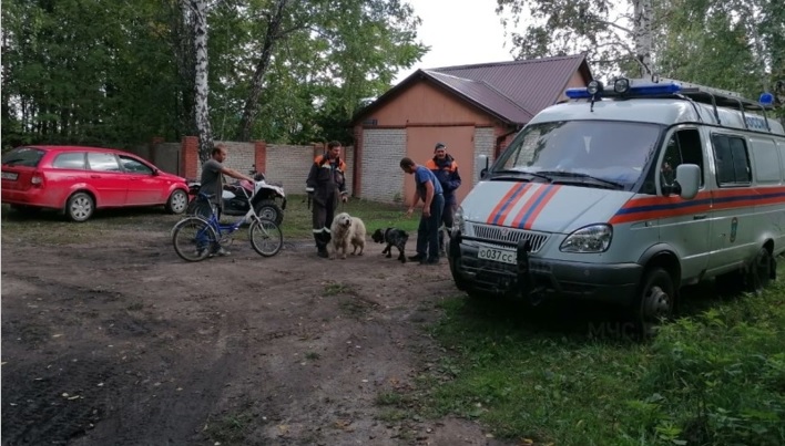 Поход в лес без происшествий. Поход в лес без происшествий.
